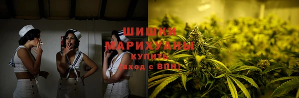 МДПВ Михайлов