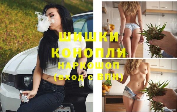 МДПВ Михайлов