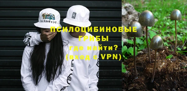 МДПВ Михайлов