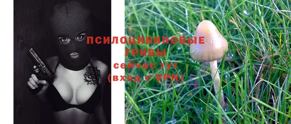 хмурый Михайловка