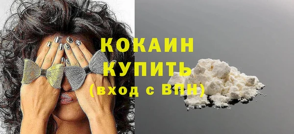 МДПВ Михайлов
