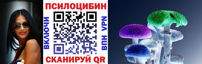 Псилоцибиновые грибы мухоморы  mega   Вышний Волочёк  наркота 